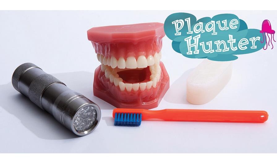 Plaque Hunter Dental Health Educational Demonstration Model